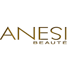 logo-anesi-compressor